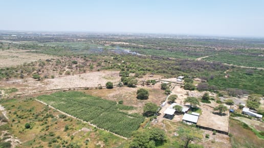 VENTA DE TERRENO – CARRETERA PIURA - PAITA
