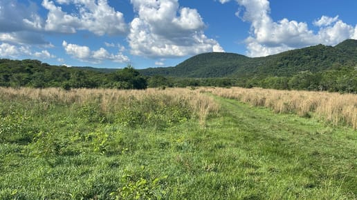 Campo de 30,8 hectáreas en venta en Cerro Vera, Pirayú, Paraguarí, con arroyos