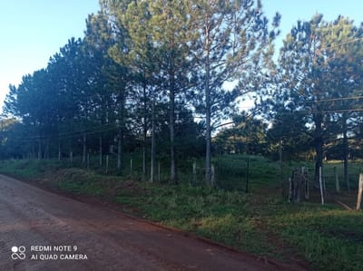 TERRENO EN MINGA GUAZU LADO ACARAY