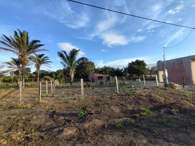 Terreno En Venta