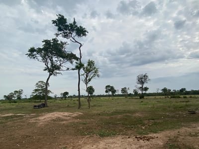 PROPIEDAD EN VENTA EN PAURITO-SANTA CRUZ