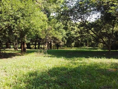 EN VENTA 15 HECTÁREAS A 2.000M DE LA RUTA PY02