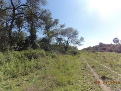 VENDO ESTANCIA EN VILLA HAYES DE 837,48 HECTÁREAS