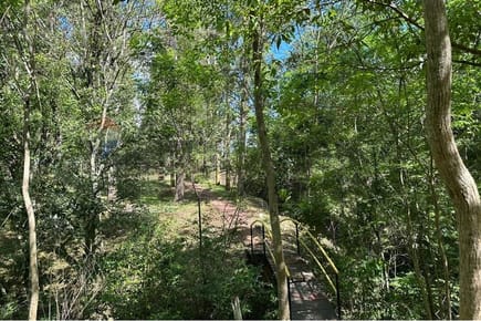 En venta estancia formada Tavapy, Alto Paraná, Paraguay