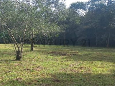 VENDO ESPECTACULAR PROPIEDA EN ENCARNACION