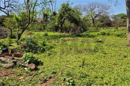 Terreno venta Luque Paraguay 