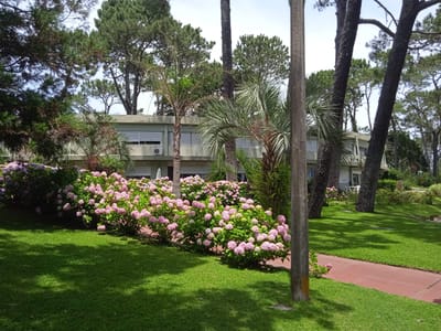 Alquiler Temporada Verano Completa. 1 Dormitorio. Punta Del Este. Cantegril