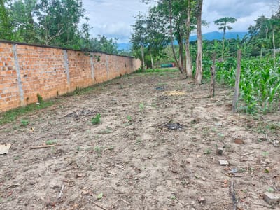 TERRENO EN VENTA EN TARAPOTO 450 M2 CON ACCESO A DOS CALLES PRINCIPALES