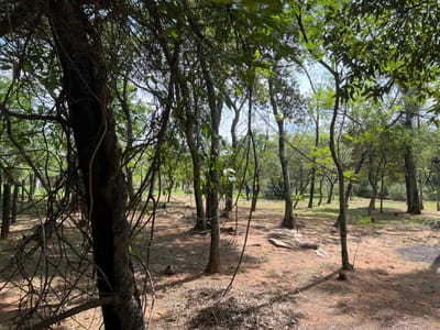 Vendo Terreno En San Bernardino, Ciervo Kuá - 720m2    J.a.