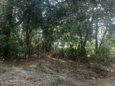 Vendo terreno en Limpio - Isla Aveiro. 