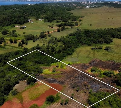 Vendo 10 hectareas en Colonia Parana-Cambyreta