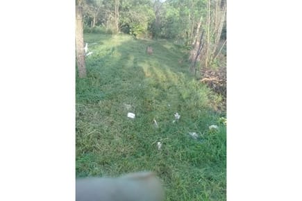 VENDO CASA EN ALTO PARANA