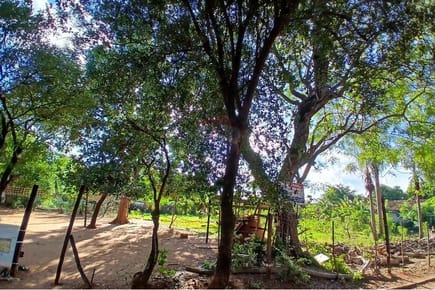 "Terreno en Venta: Luque Zárate Isla "