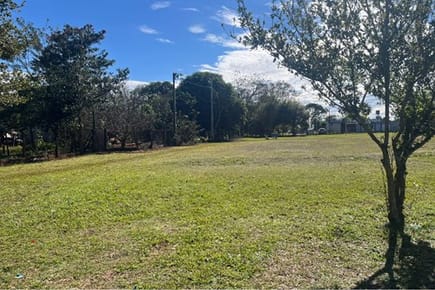 VENDO AMPLIO TERRENO EN CIUDAD DEL ESTE