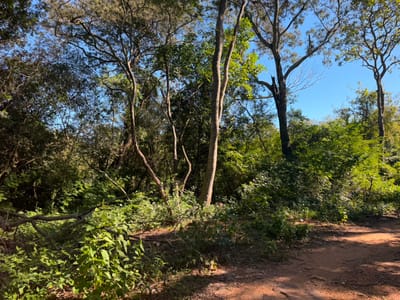 VENDO 4 TERRENOS EN BARRIO 6 – SAN BERNARDINO