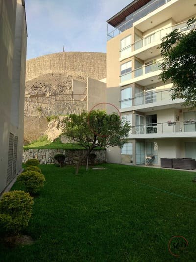 Depa busca pareja que quiera tranquilidad y silencio