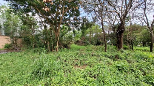 Vendo Terreno en Capiata ruta 2 Sgto. Maidana