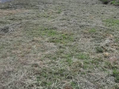 VENDO TERRENO 480 M² EN JUGUA JHU, SAN BERNARDINO