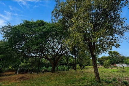 Terreno-Venta-Eucalipto, Itá Enramada, Asunción