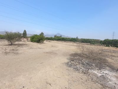 Terreno en el Fundo "La Providencia"-Huaral