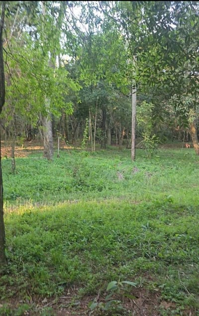 EN VENTA TERRENO EN SAN BENARDINO
