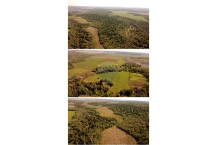 Campo de 80 hectáreas en San Pedro del Paraná