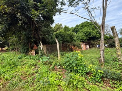 VENDO TERRENO EN TARUMANDY LUQUE