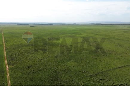 Estancia campo venta Coronel Oviedo 203Ha