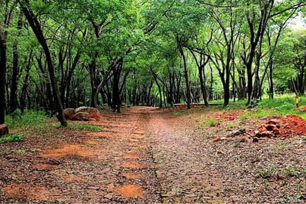 Terreno-Venta-RUTA YPAKARAI - AREGUA PATIÑO, Ypacaraí, Central