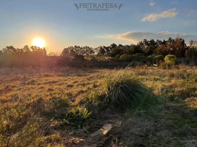Campo n venta- Abayubá