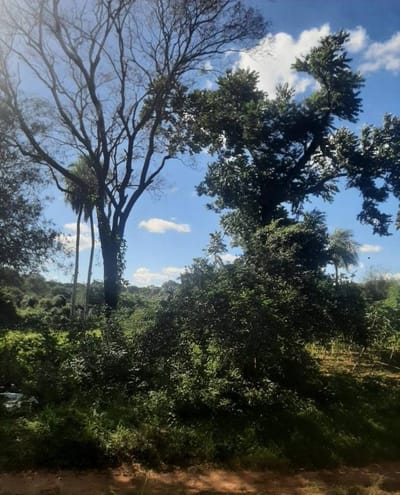 Vendo Terreno en Aregua