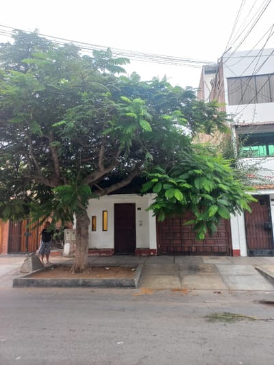 SE VENDE CASA EN LOS CEDROS DE VILLA CALLE TORTUGAS - 161 M2