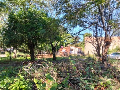 TERRENO EN VENTA  EN LIMPIO, DON BOSCO
