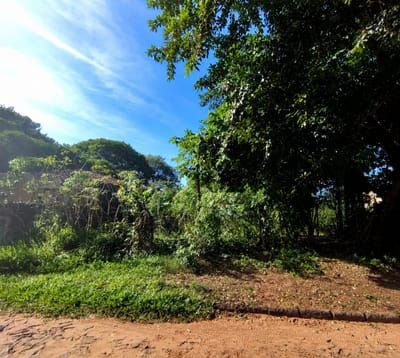 Vendo Terreno en Capiata