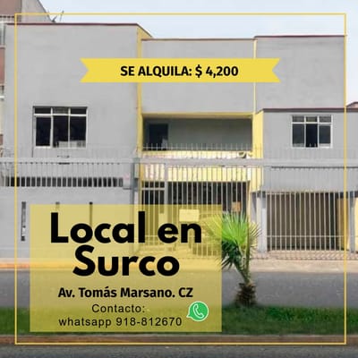 EXCELENTE LOCAL COMERCIAL 300 MTS  SURCO