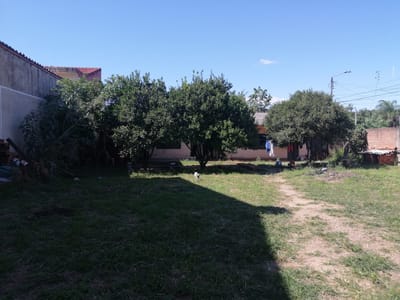 TERRRENO EN VENTA EN ESQUINA Y AVENIDA ZONA OESTE 