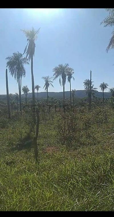 Vendo terreno en Piribebuy, propiedad de 15 hectáreas 