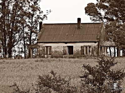 Casa Pando
