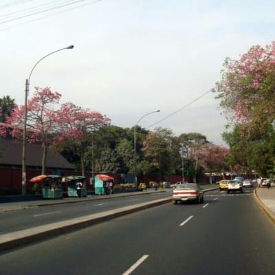 Terreno Venta m Av Los Frutales La Molina cerca UNIFE