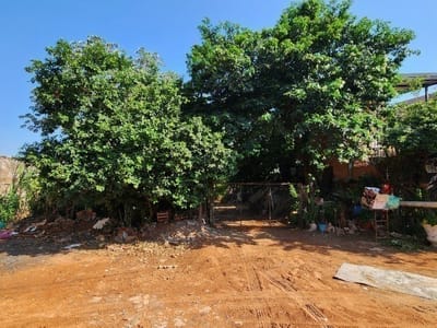 Terreno De 438 M² En Villa Elisa- A Metros De Americo Picco
