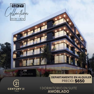 DEPARTAMENTO AMOBLADO DE 1 DORMITORIO EN ALQUILER EN COND. SKY ART COLLECTION