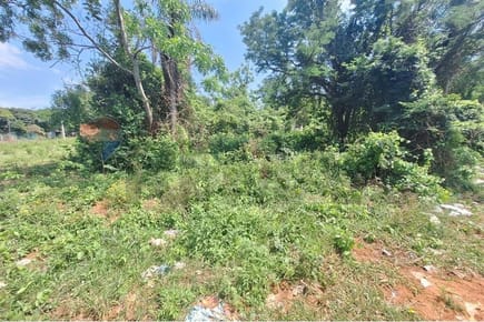 Terreno - Venta - Aregua