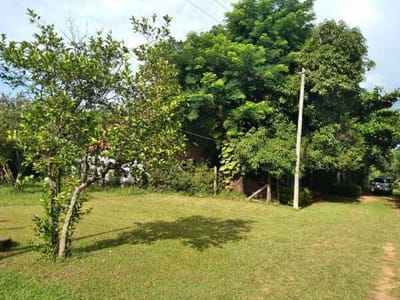 Vendo Terreno en Yaguarón – 360 m²