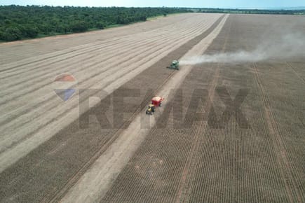 VENDO ESTANCIA FORMADA EN SAN PEDRO