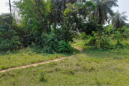 Terreno-Venta- Altos, Cordillera