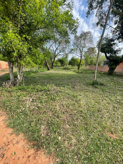 TERRENO EN LIMPIO DON BOSCO