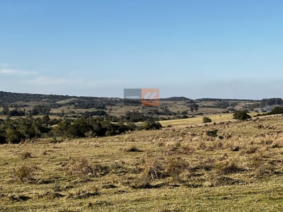 Campo en venta en Garzón