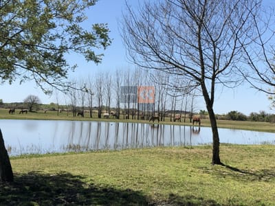 Chacra de 5has en barrio privado