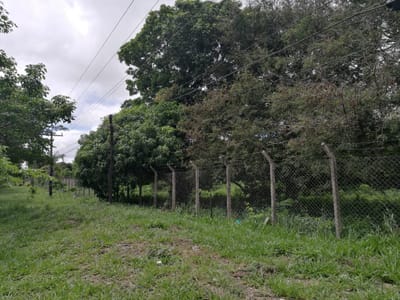 TERRENO EN VENTA SOBRE LA CARRETERA EN LA GUARDIA KM. 16, 30 HECTÁREAS