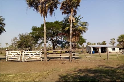 Estancia/Campo - Venta - Villa Hayes, Paraguay